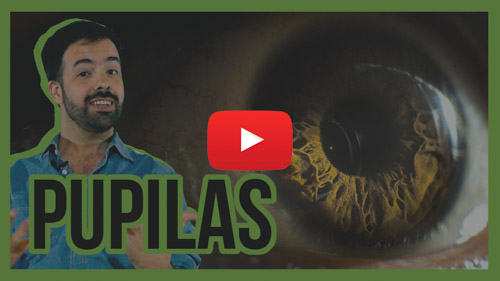 Fotografia de pupilas macro